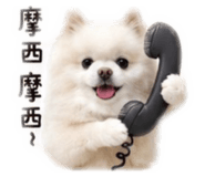 862543686