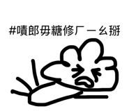 862543732