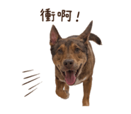 862547848
