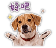 862549832