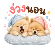 862550128
