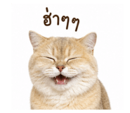 862550130