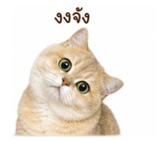 862550140