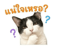 862550165