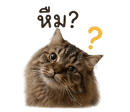 862550658