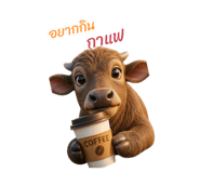 862550704