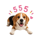 862550752