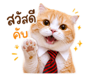 862550753