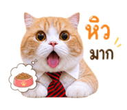 862550765
