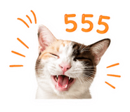 862551522
