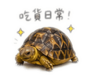 862554700