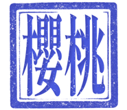 862557941