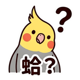 862560229