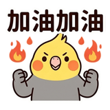 862560232