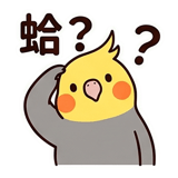 862560243