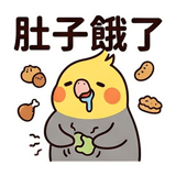 862560255
