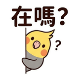 862560257
