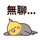 862560258