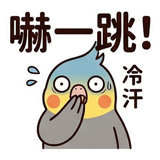 862560262