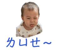 862561037