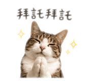 862562503