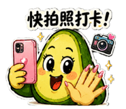 862563100