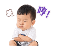 862563811