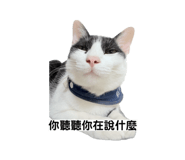 862565209