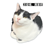 862565223