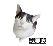 862565224