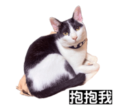 862565225