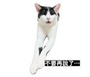 862565227