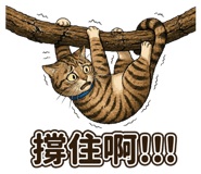 862565371