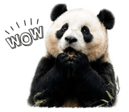 862565925