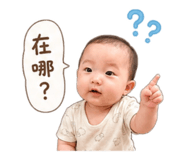 862566244