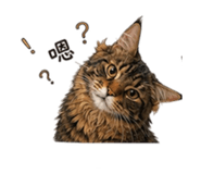 862566527