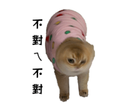862566593