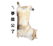 862566595