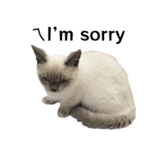 862566597