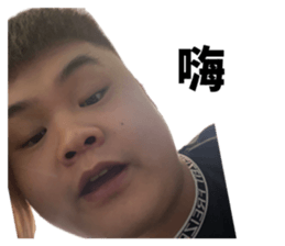 862567343