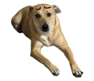 862567488