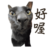 862571634