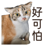 862571660
