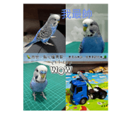 862571787