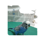 862571800