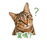 862580566