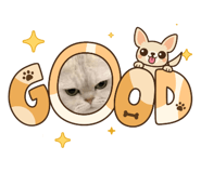 862581901