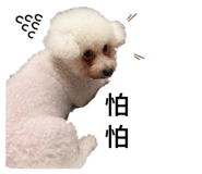 862582060