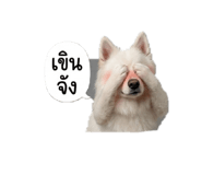862583904
