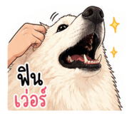 862590444